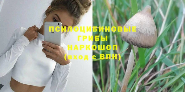 марки lsd Ельня