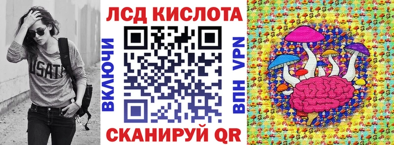 Купить закладки  Кизляр  Наркотические марки 1500мкг 