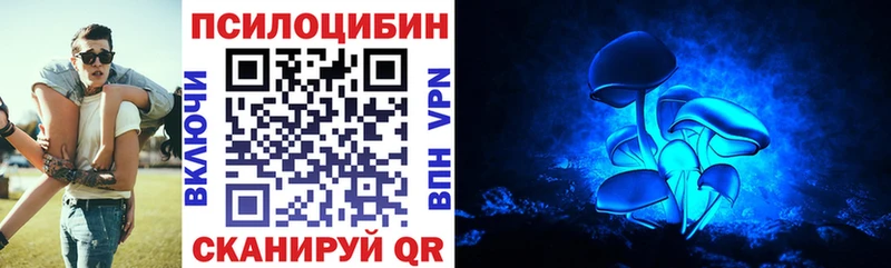 Галлюциногенные грибы мухоморы  Купить где  Кизляр 