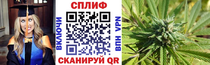 Купить закладки Кизляр Бошки марихуана марихуана
